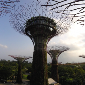 Gardens11