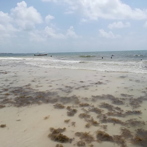 IMG_20180607_110409
