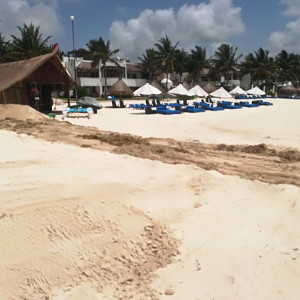 IMG_20180607_113325