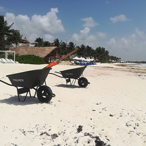 IMG_20180607_113258