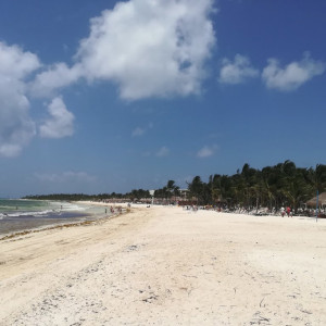 IMG_20180607_113225