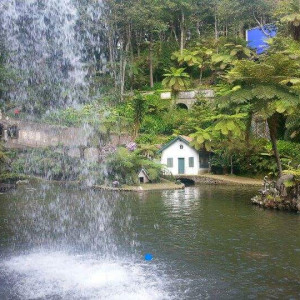 Madeira