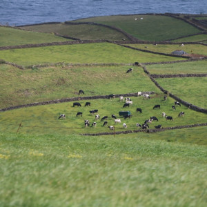 Terceira - Miradouro da Serra do Cume