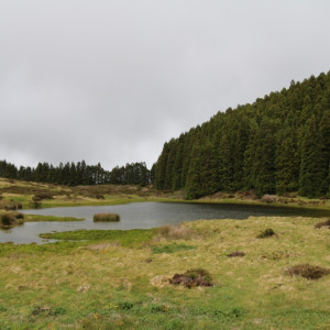 Terceira - Gruta do Natal
