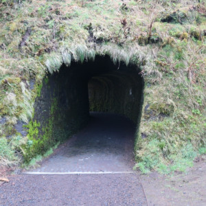Faial - Caldeira