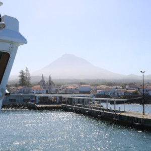 Pico
