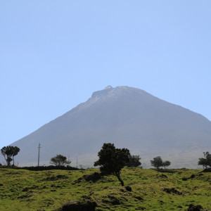 Pico