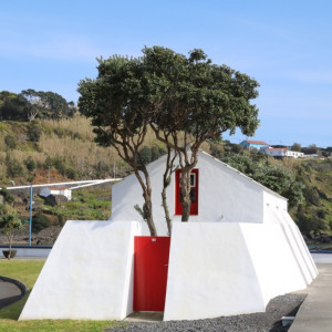 Pico - Lages do Pico