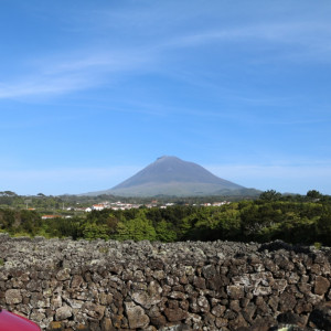 Pico