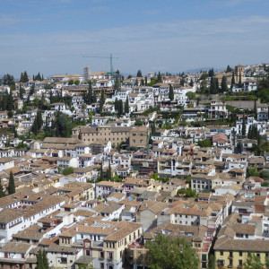 P1060522
