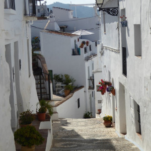 P1060673