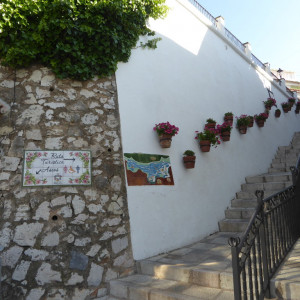P1060795