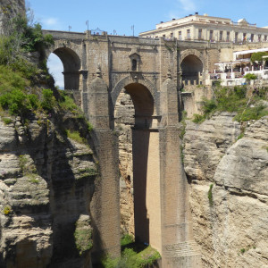 P1060981
