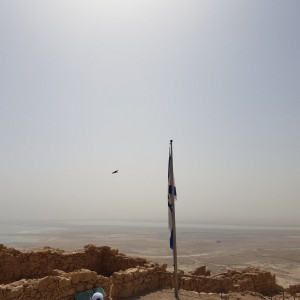 Masada8