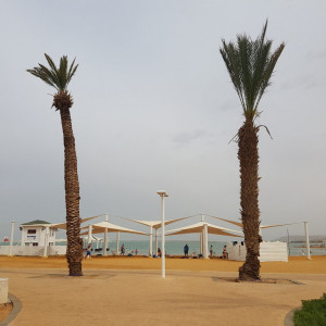 20180528_155714