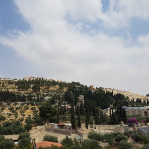 20180529_144320
