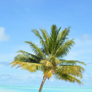 Maldives07