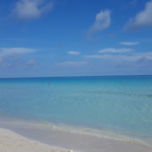 20180603_143736