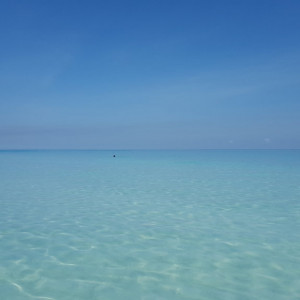 20180605_150345