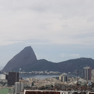 Rio29