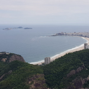 Rio46