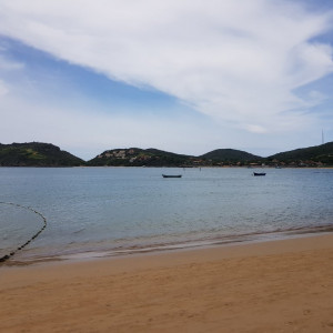 Rio81