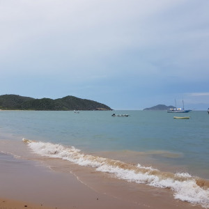 Rio82