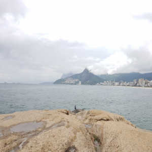 Rio93