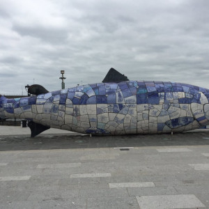 The Big Fish