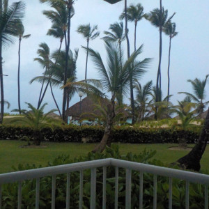 DSCN0356