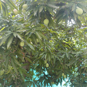 DSCN0053
