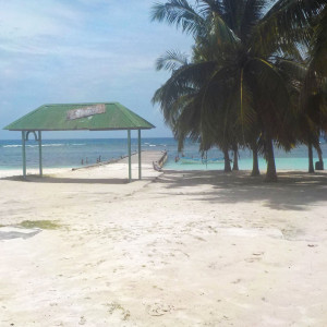DSCN0515