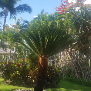 20180619_142210