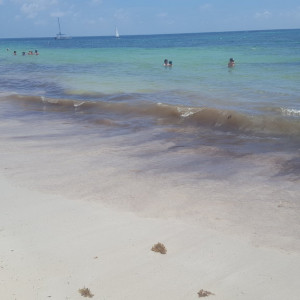 20180619_163034