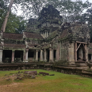 Camboja50