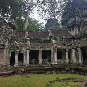 Camboja51