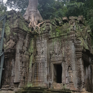 Camboja52