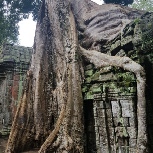 Camboja54