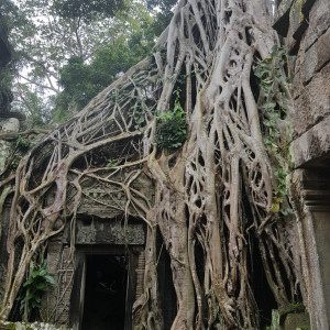 Camboja56