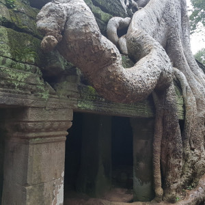 Camboja57