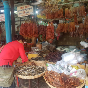 Camboja80