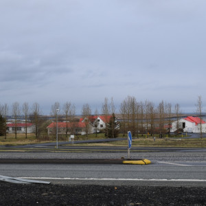 DSC_0383