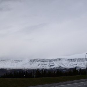 DSC_0385