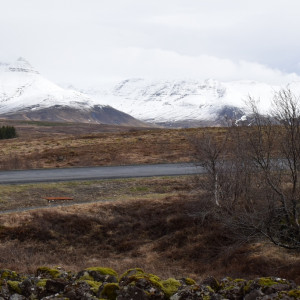 DSC_0435