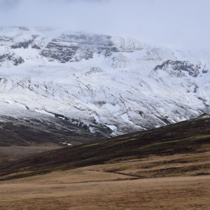 DSC_0440