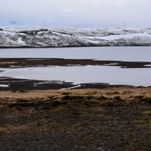 DSC_0442