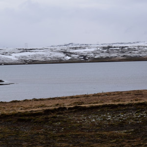 DSC_0445