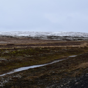 DSC_0448
