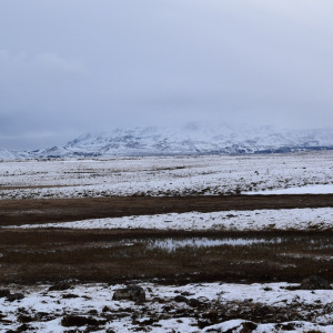 DSC_0452