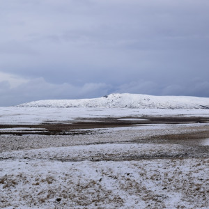 DSC_0453